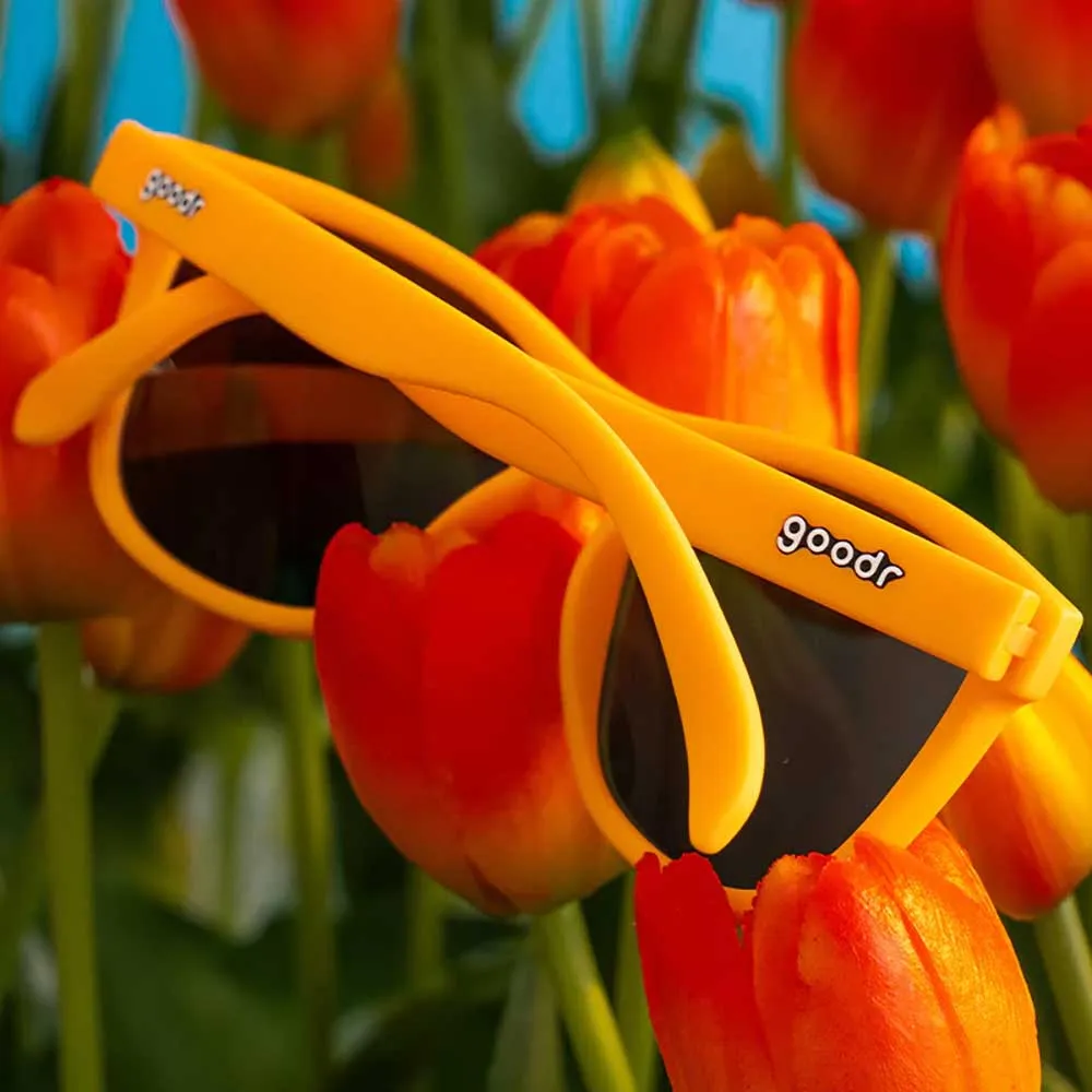 Spring Got Me Sprung Sunglasses